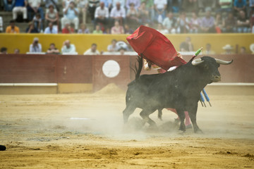 Torero finalizando un pase de pecho.