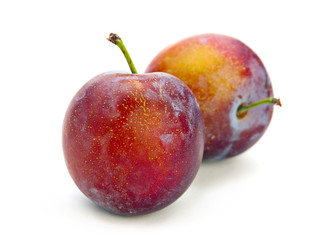 Plum fruit isolated