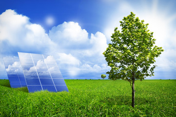Solar panel and tree on field