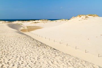 Moving dunes park near Baltic Sea in Leba, Poland