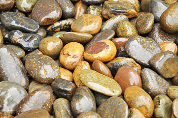 Brown stones