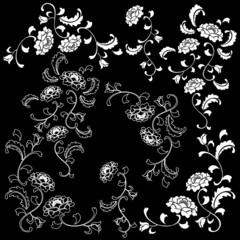 White vector flowers patterns
