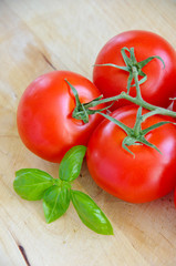 Tomate mit Basilikum