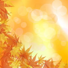 Autumn background