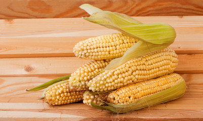 A corn cob on a wooden background