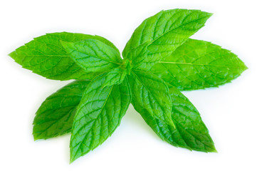 Pepper Mint