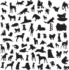 large collection of different silhouettes of dogs