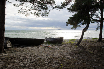 Naklejka na ściany i meble Old rowing boats at coast in evening sun