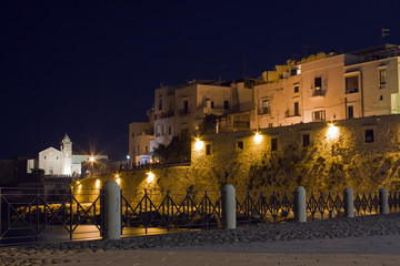 Panorama di Vieste (Italy) - Vieste's landscape