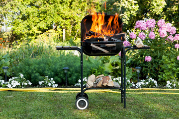 Flames in a barbecue