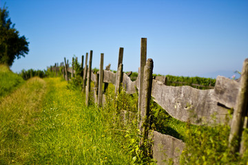 Obraz premium wood fence