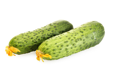 Fresh cucumbers isolated on white.