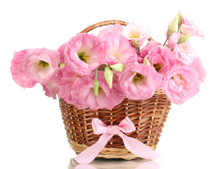 Fototapeta na wymiar bukiet kwiatów w koszyku eustoma, odizolowane na białym