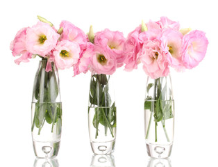 bouquet of eustoma flowers in vases, isolated on white