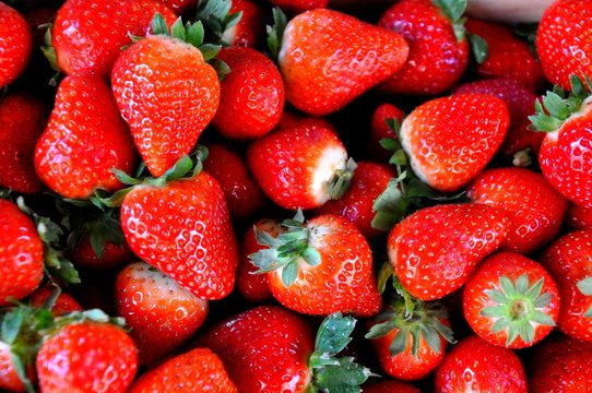 fresas