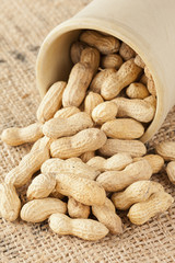 Fresh Dry Organic Peanuts