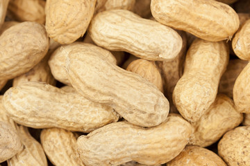 Fresh Dry Organic Peanuts