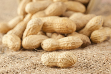 Fresh Dry Organic Peanuts