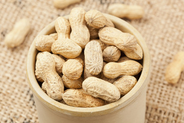 Fresh Dry Organic Peanuts