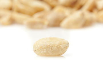Fresh Dry Organic Peanuts