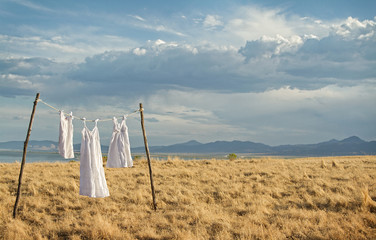 White dresses hanging on a line