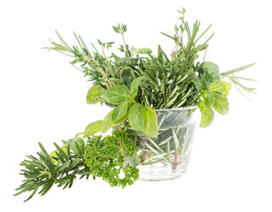 Glass with fresh Herbs
