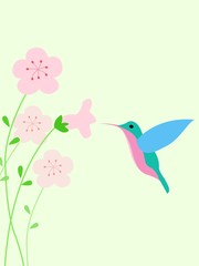 Hummingbird background