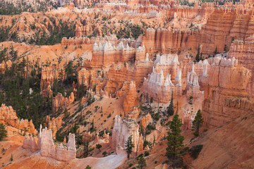 Bryce canyon national park in Utah