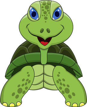 Turtle cartoon smiling