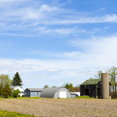 American Farm
