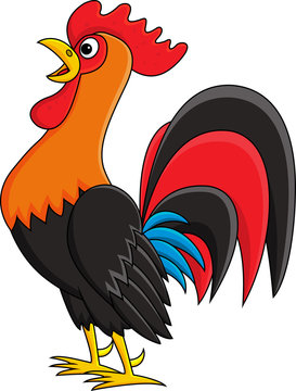 Rooster cartoon