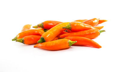 red hot chili pepper shrink on a white background