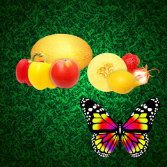 Fototapeta na wymiar Fruit vegetables and butterflies