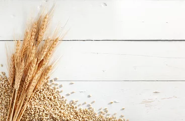 Fototapeten wheat ears and grains © Okea