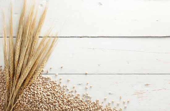 barley with grains