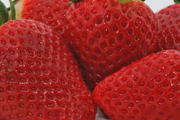 erdbeeren detail