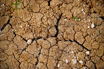 Dry soil