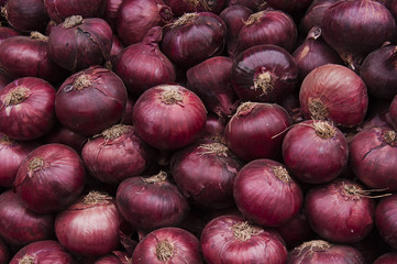 Onions Crop Texture