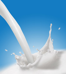 Splash of Milk