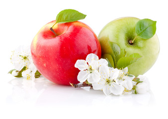 Two red and green apples with leaves and flowers on a white back