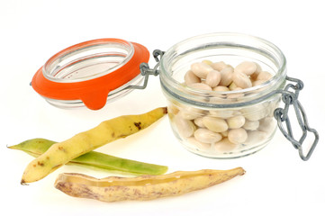 Conserve de haricots coc de Paimpol