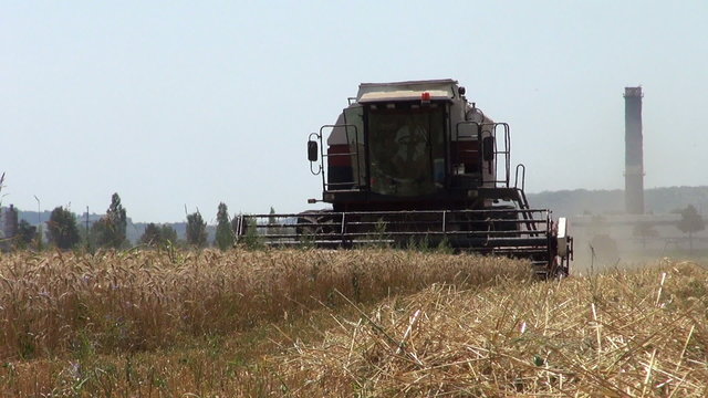 harvesters on wheat field afternoon