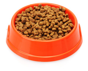 Cat food in bowl isolated on white