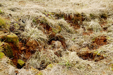 Subsidence land.