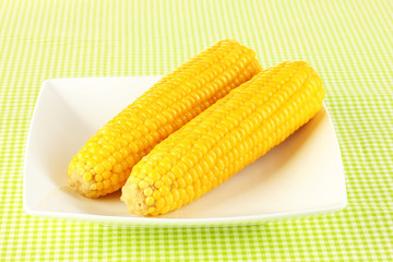 boiled corn on the white plate on a green tablecloth