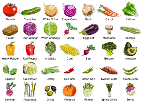 Collection of 35 Vegetables icons