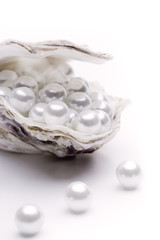 Perlen in einer Auster