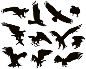 Fototapeta premium Hunting eagle detailedsilhouettes set. Vector