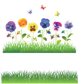 The Green Grass and Viola Flower. Vector Set.