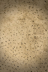 Old wall with small holes texture